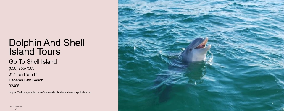 Dolphin And Shell Island Tours