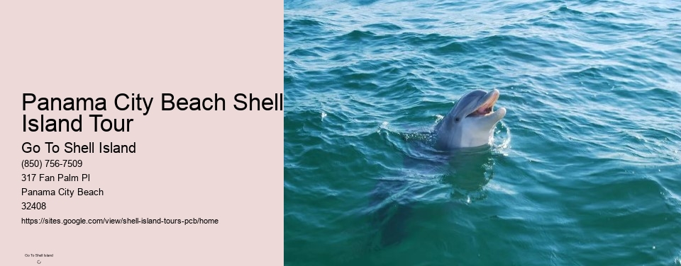 Panama City Beach Shell Island Tour