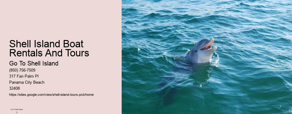 Shell Island Boat Rentals And Tours