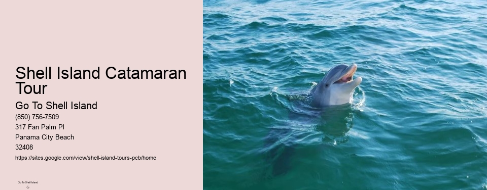Shell Island Catamaran Tour
