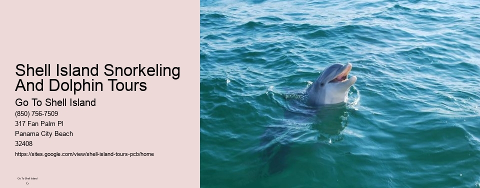 Shell Island Snorkeling And Dolphin Tours