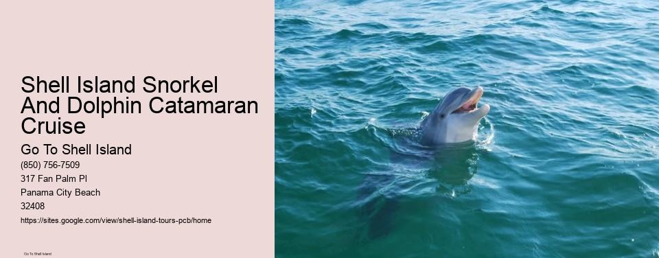 Shell Island Snorkel And Dolphin Catamaran Cruise