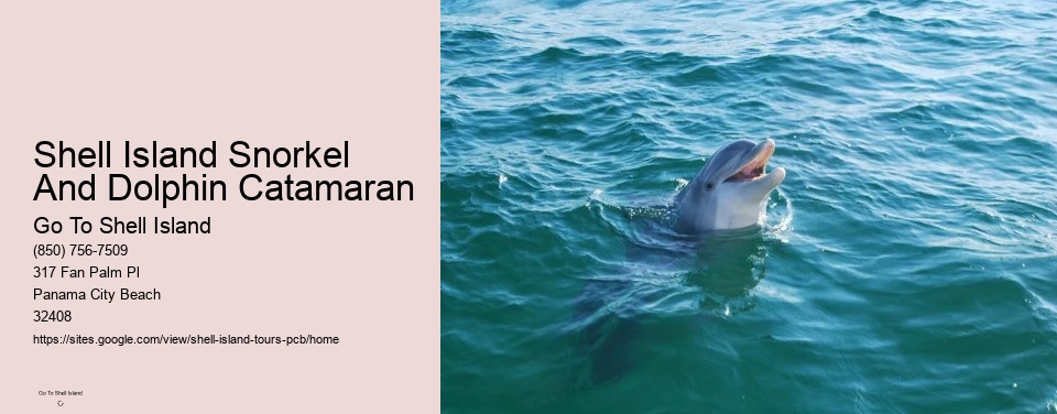 Shell Island Snorkel And Dolphin Catamaran