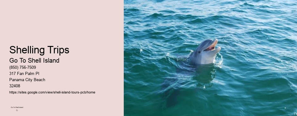 Shelling Trips