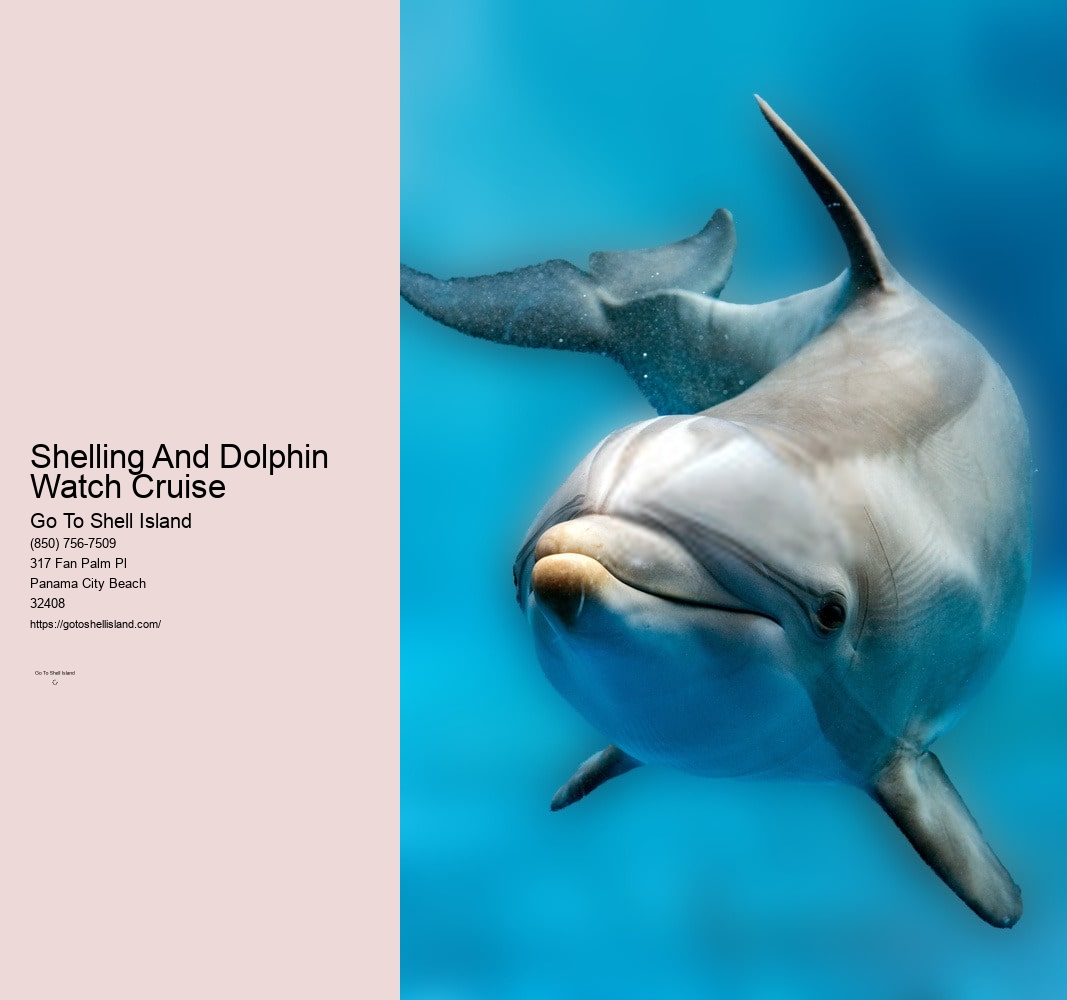 Shelling And Dolphin Watch Cruise